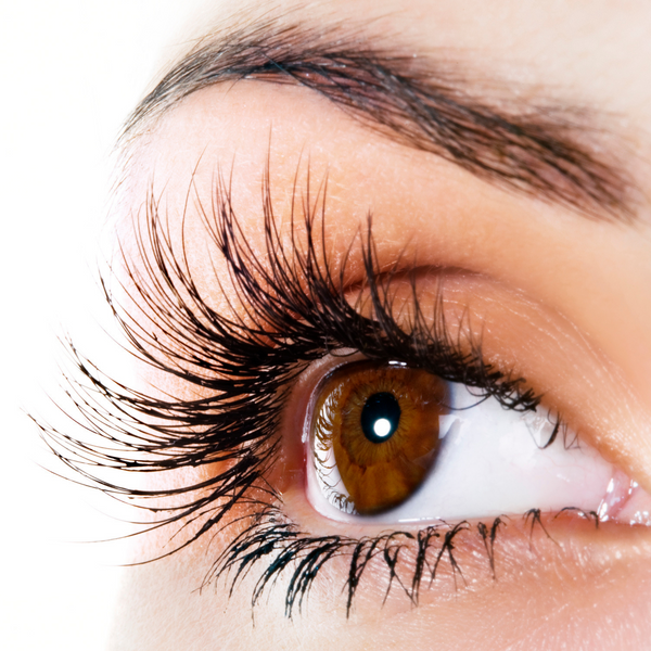 What is a Lash Lift?