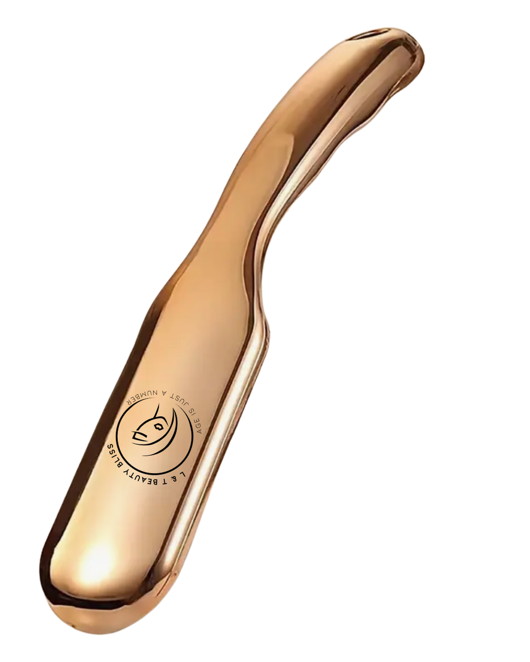 LT Nano Metal Foot File